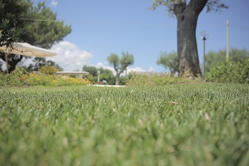 Villa Curri Locorotondo Bagian luar foto